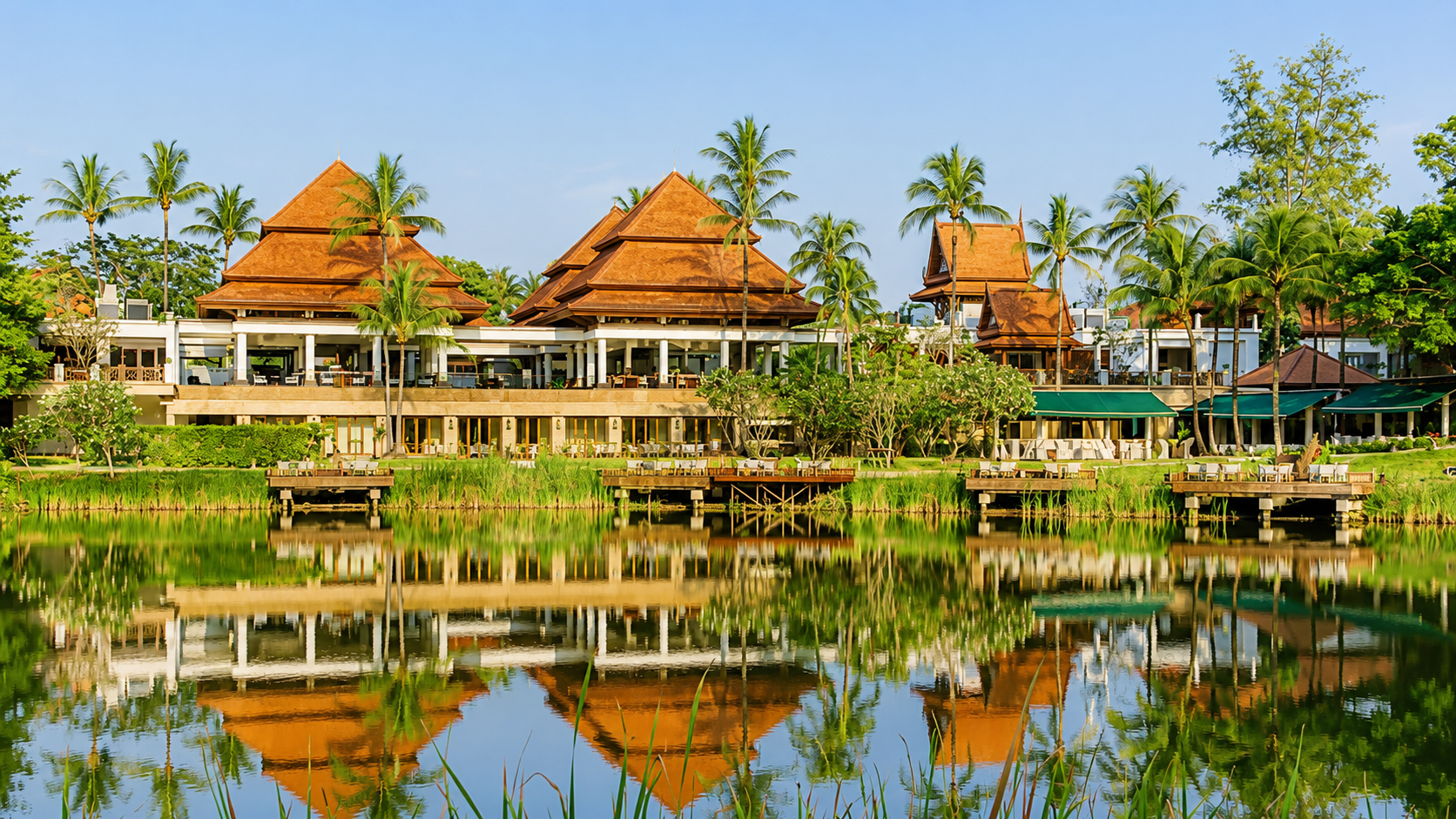 Banyan Tree